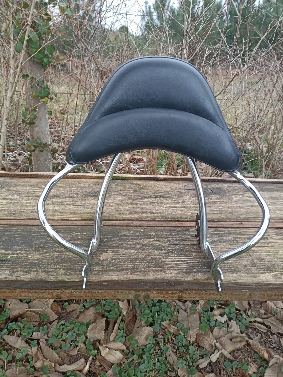 Sissy bar OEM