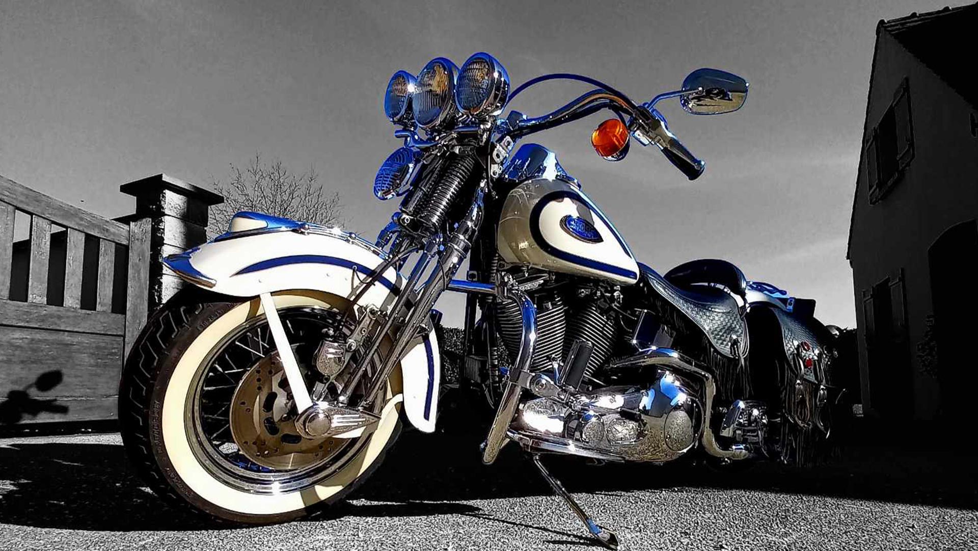 Old Boy 1997 blanc / bleu