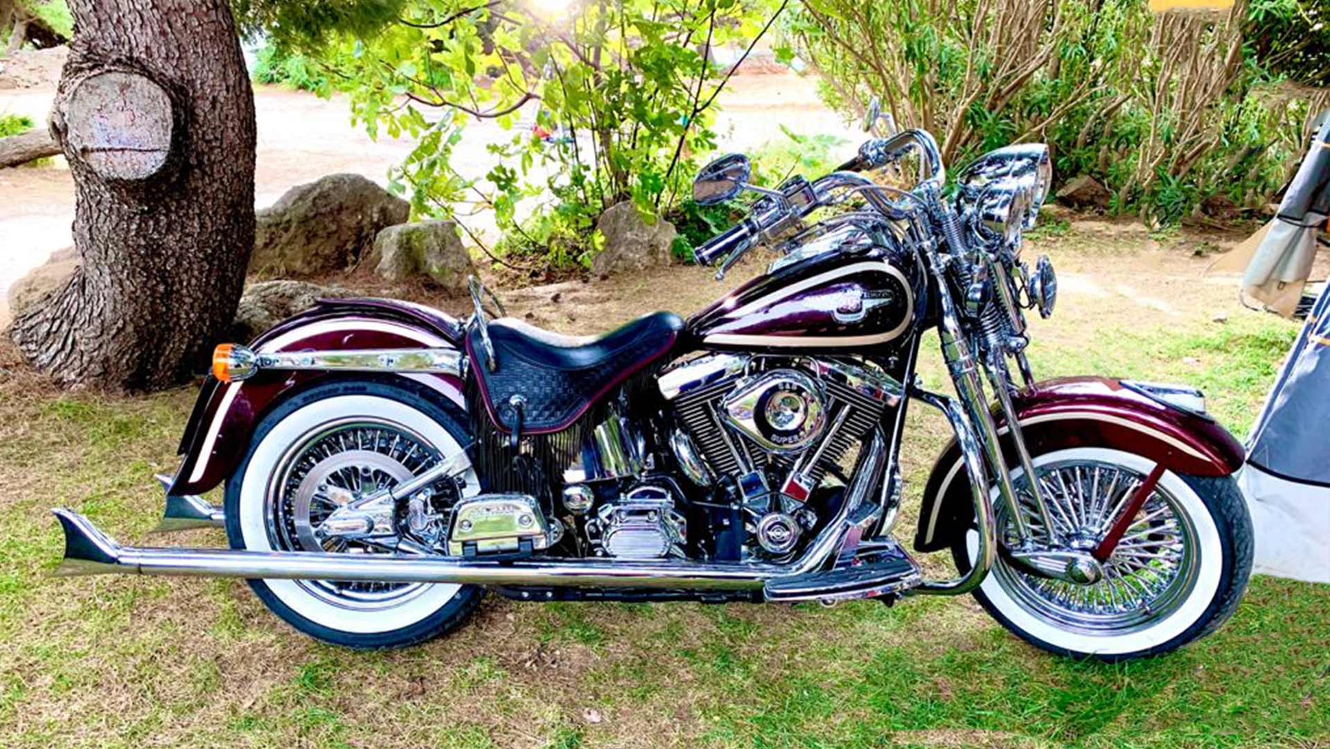 Heritage Springer 95ème anniversaire