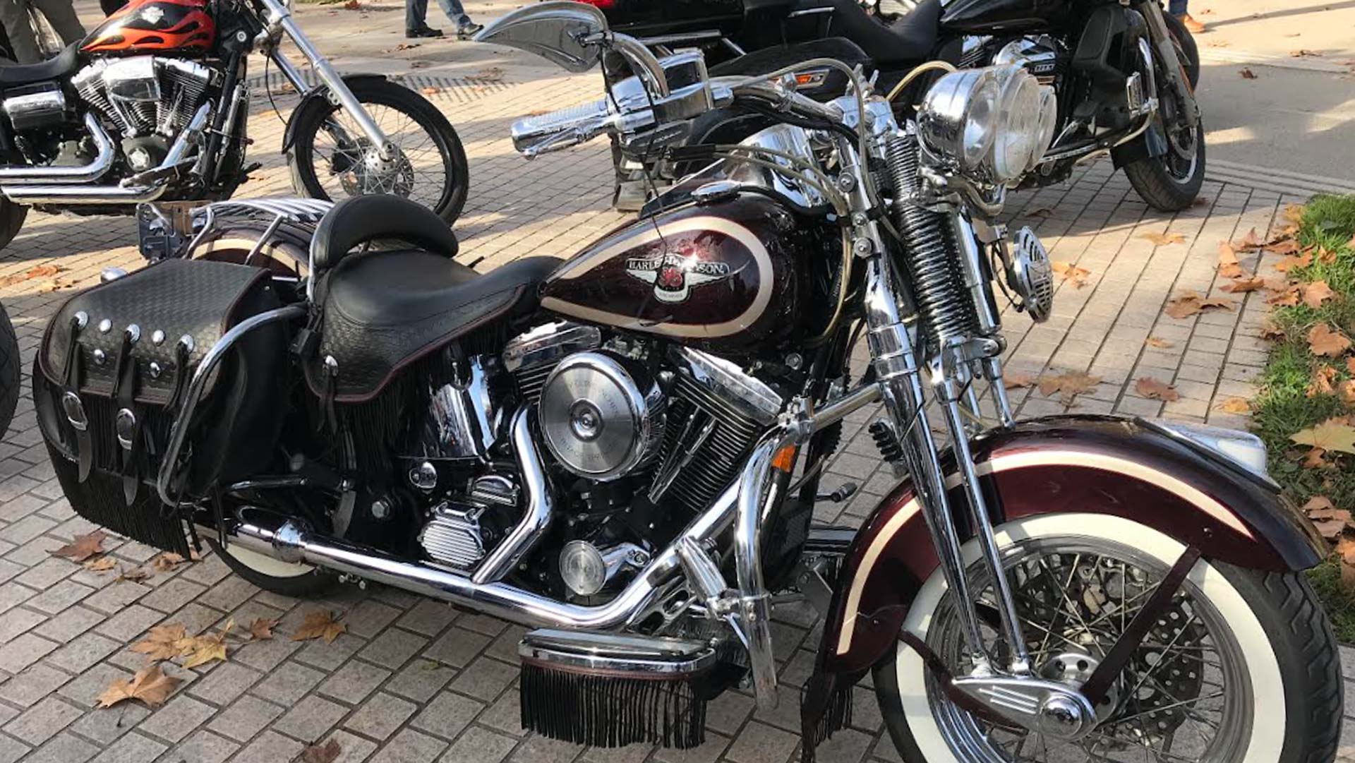 Heritage Springer 95ème Anniversaire