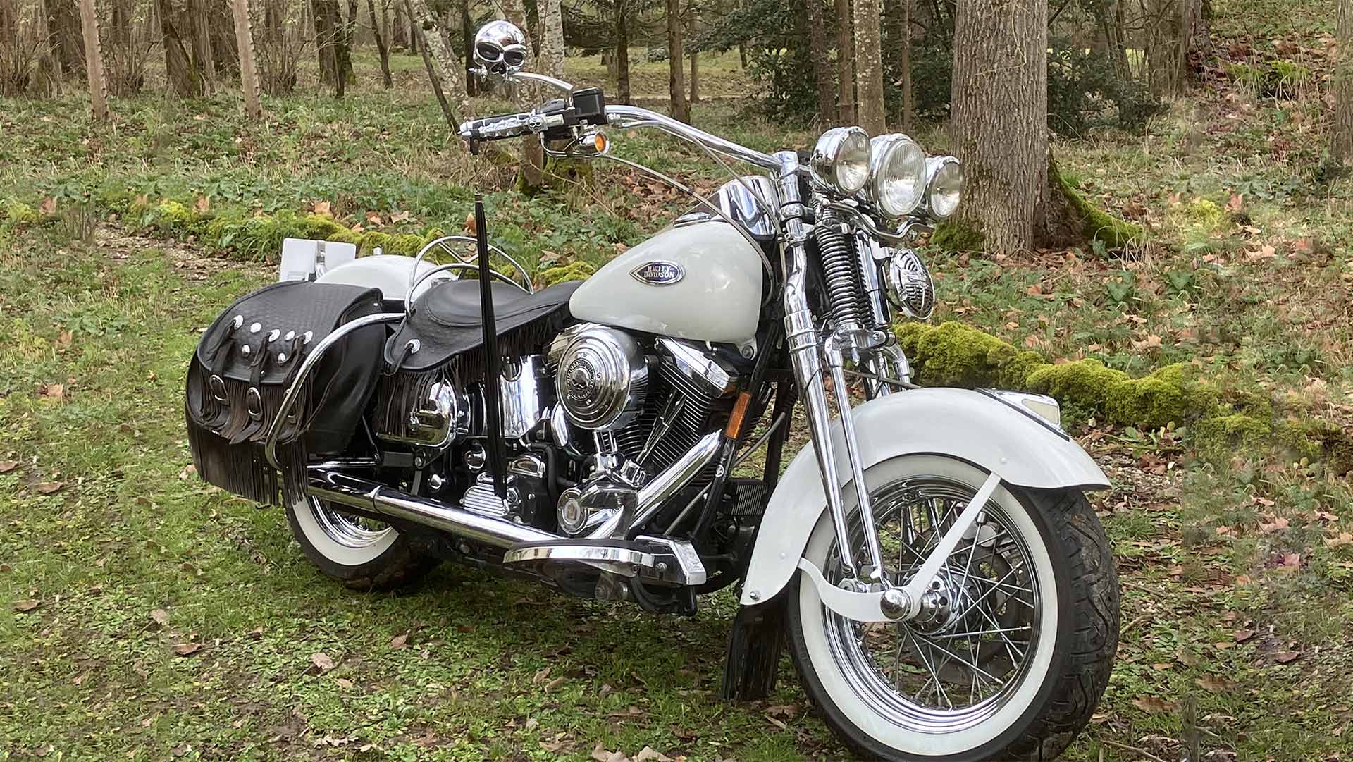 Heritage Springer 1997
