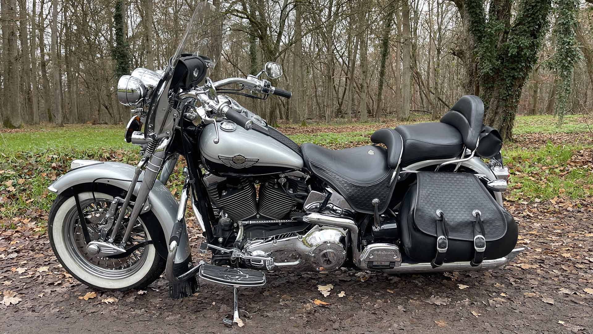 Heritage Springer 2003
