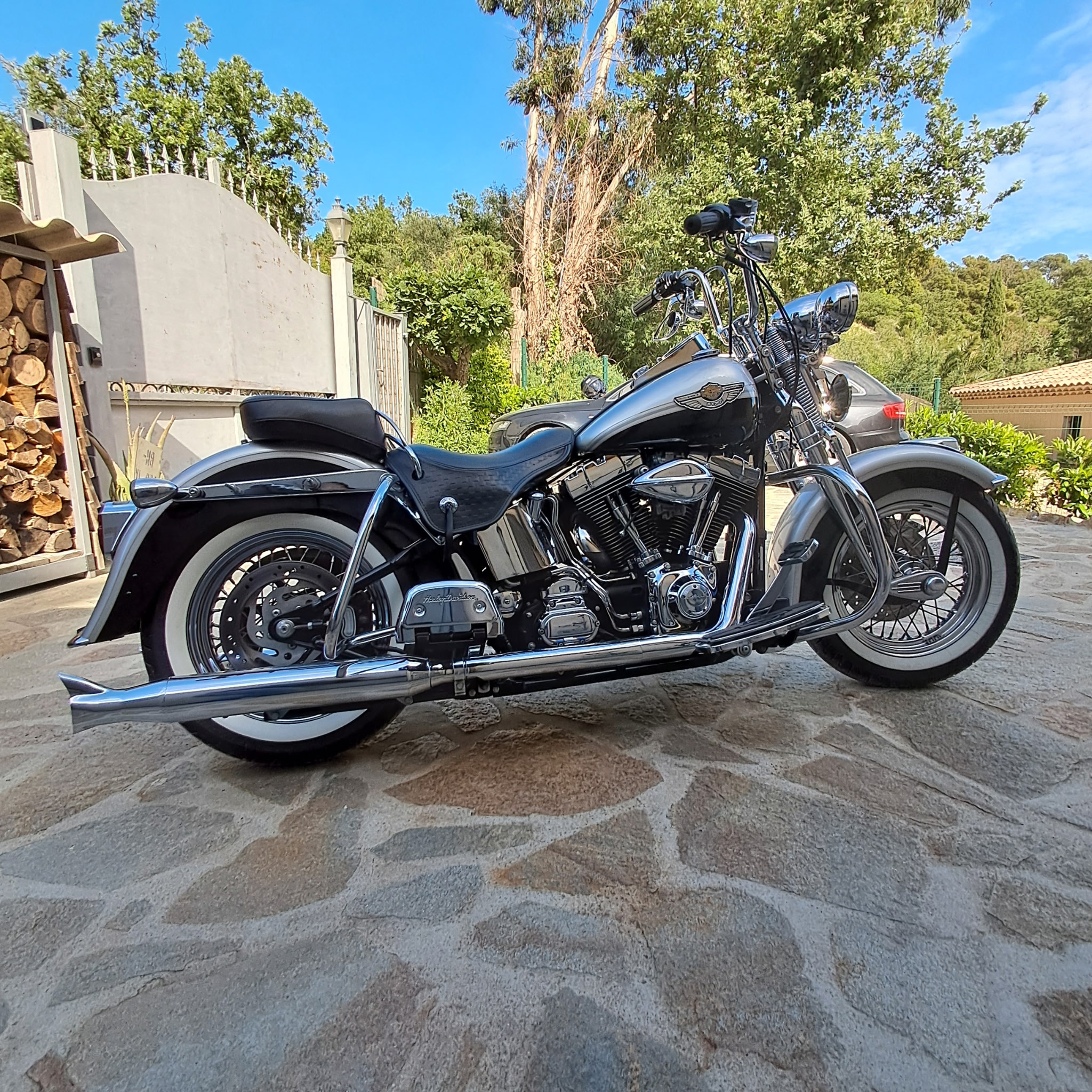 Hertage Springer 100ème Anniversaire